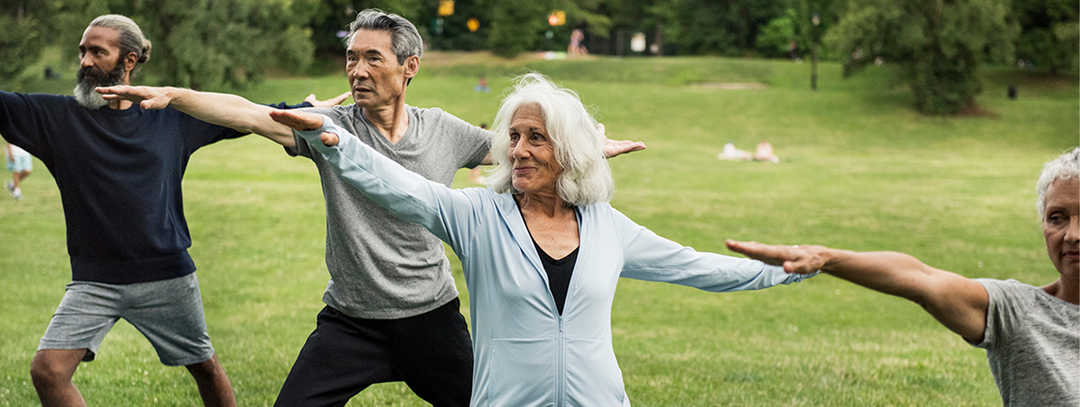 Zwei Frauen und zwei Männer bei Yoga-Übungen uf einer Wiese.